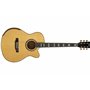 Fiesta WEST 40" TransAcoustic