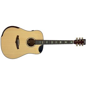 Fiesta WEST 41" TransAcoustic