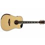 Fiesta WEST 41" TransAcoustic