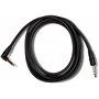 Футконтролер AMPEG AFS2