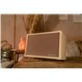 Гітарний комбопідсилювач BLACKSTAR ACOUSTIC:CORE 30