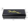 Губна гармоніка FENDER HARMONICA BLUES DELUXE A