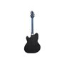 Гітара електроакустична IBANEZ TCM50FM-ODB
