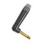 Seetronic MP2RX-BG