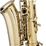 STAGG P WS-AS215S