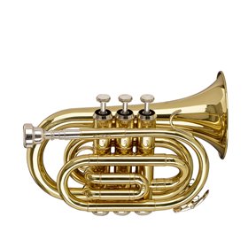 STAGG P WS-TR245S