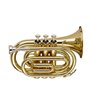 STAGG P WS-TR245S
