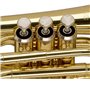 STAGG P WS-TR245S
