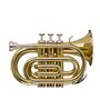 STAGG P WS-TR245S