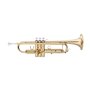 STAGG P WS-TR115