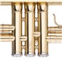 STAGG P WS-TR115