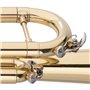 STAGG P WS-TR115