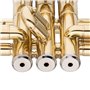 STAGG P WS-TR115
