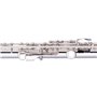 STAGG P WS-FLL111
