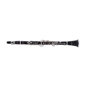 STAGG P WS-CL210S