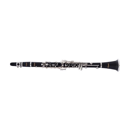 STAGG P WS-CL210S
