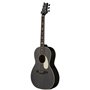 Електро-акустична гітара PRS SE P20E (Black Dog Hair)