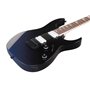 Електрогітара IBANEZ RG421DX-TWS