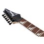 Електрогітара IBANEZ RG421DX-TWS
