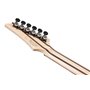 Електрогітара IBANEZ RGD3121-PRF