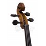 Віолончель MAXTONE CVC101 4/4