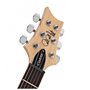 Електрогітара PRS SE Custom 24-8 (Eriza Verde)