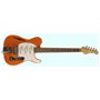 G&ampL TRIBUTE WILL RAY SIGNATURE (R TROR) - електрична гітара