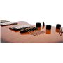 GODIN 024094 - LGX-SA(S) Коньяк Burst Flame AAA (Made in Canada) - Електрична гітара