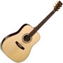 Simon&ampPatrick 025213 - Showcase Rosewood з DLX TRIC (Made In Canada) - Акустична гітара