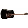 NORMAN 027484 - Encore B20 HG Black Presys (Made In Canada) - Акустична гітара з підключенням