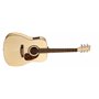 NORMAN 031344 - Studio B50 Presys with TRIC (Made in Canada) - Акустична гітара з підключенням