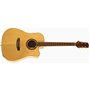 SX DG50CE+ - акустична гітара з підключенням