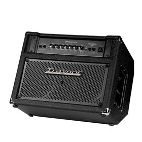 Traynor DB300T Made in Canada - Басовий комбопідсилювач