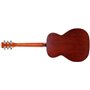 NORMAN 041909 - B18 Burnt Umber CH A/E (Made in Canada) - акустична гітара з підключенням