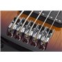 SCHECTER CV-5 3TSB - п'ятиструнна бас-гітара