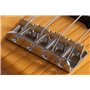 SCHECTER DIAMOND-J PLUS AN - чотириструнна бас-гітара
