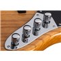SCHECTER DIAMOND-J PLUS AN - чотириструнна бас-гітара