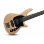 SCHECTER CV-5 GNAT - п'ятиструнна бас-гітара