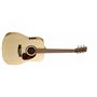 NORMAN 027439 - Encore B20 6 Presys (Made In Canada) - Акустична гітара з підключенням