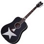 SCHECTER RS-1000 STAGE ACOUSTIC - Акустична гітара з підключенням
