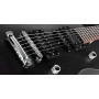 FRAMUS PANTHERA STUDIO BLACK Электрогитара фото