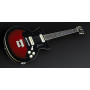 FRAMUS VINTAGE HOLLYWOOD DOUBLECUT (BLACK ROSE HP) Электрогитара фото