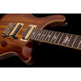 PRS SE Custom 24 Zebrawood Электрогитара фото