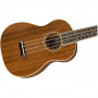 FENDER UKULELE ZUMA CONCERT NATURAL WN Укулеле фото