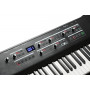 Kurzweil SP1