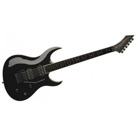 Washburn WM24V PRO BK