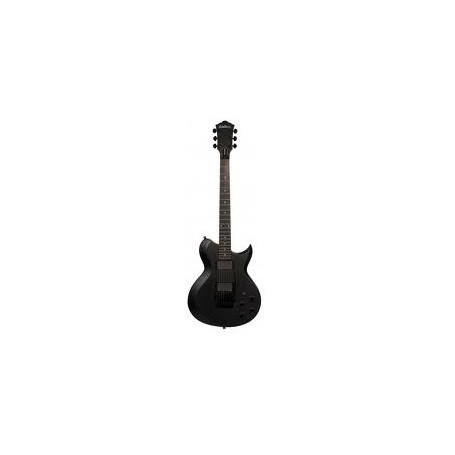 Washburn WI200V PRO ECK