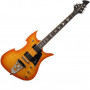 Washburn PS600 FHBK