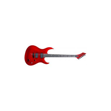 Washburn WM24PRO EMRK