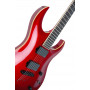 Washburn WM24PRO EMRK